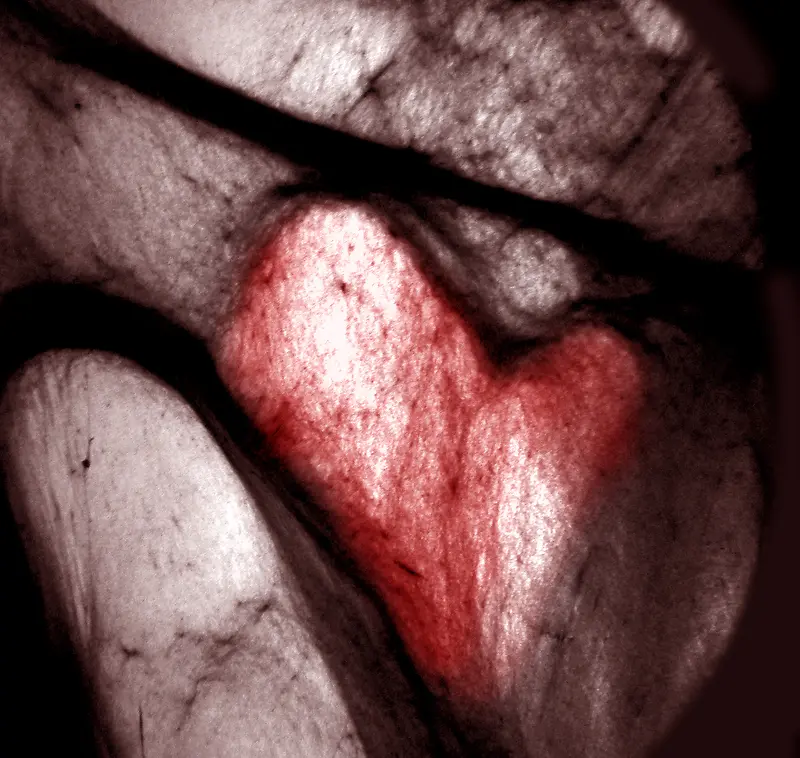 ������˿������-������