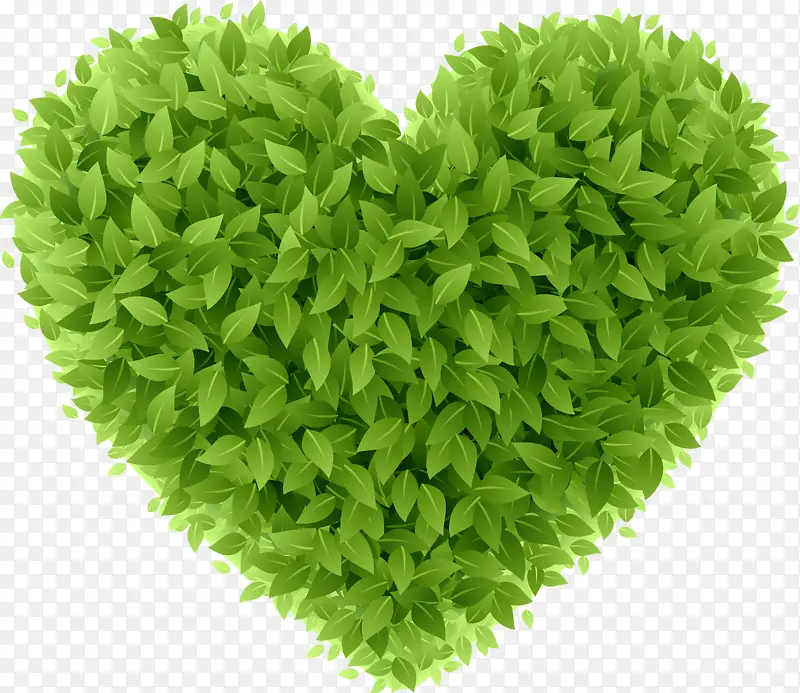 ���Ⱞ����Ҷ-������