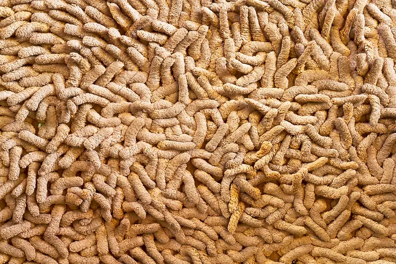 ��̺��������-������