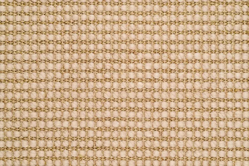 ��֯��������-������