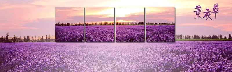 ޹�²�������Ӱ����-������