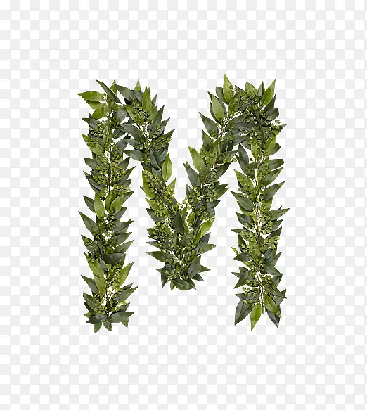 ��Ҷ��ĸm-������