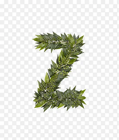 ��Ҷ��ĸz-������