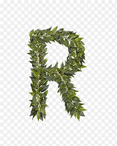 ��Ҷ��ĸr-������