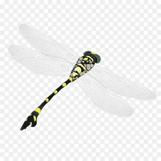 ����-������