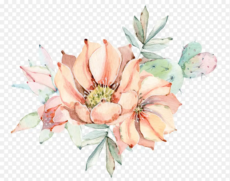 ˮ�ʻ���ֲ��-������