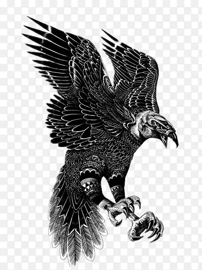 ������ӥ�廭-������