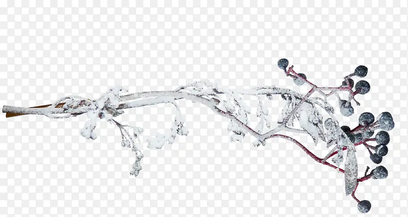 ��ѩС������֦-������