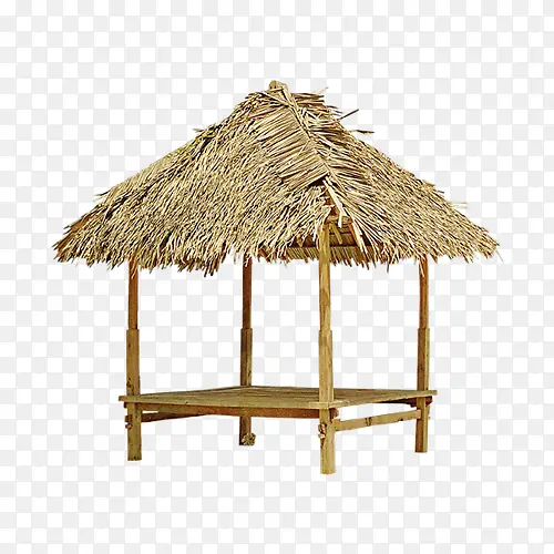 ��ͤ���-������