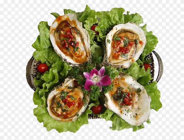 �����ϵĿ����ͼƬ�ز�-������