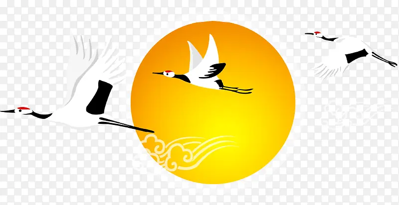 �׺�-������