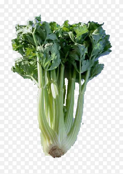 ���ʵ��۲�-������