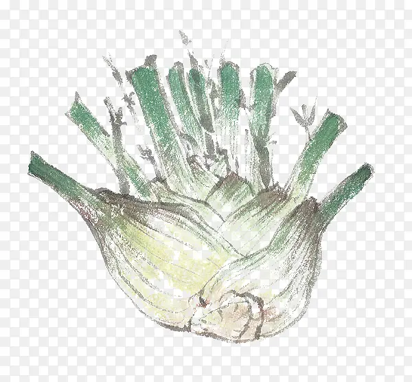 �۲�ͷ-������