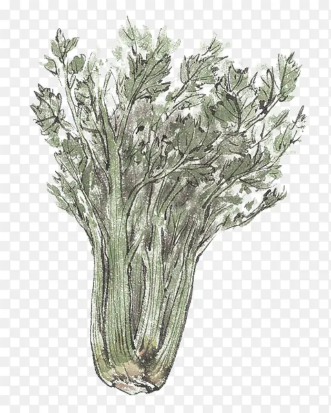 �ֻ��۲�-������