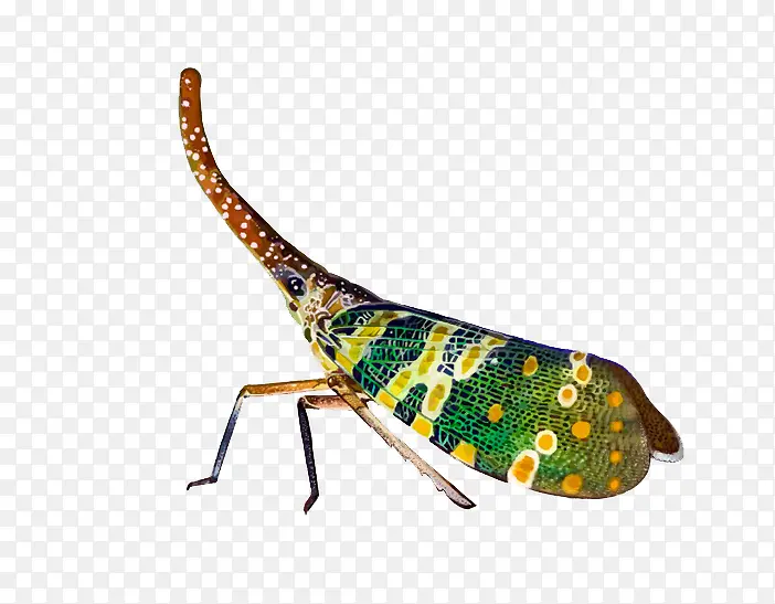 �ֻ����-������