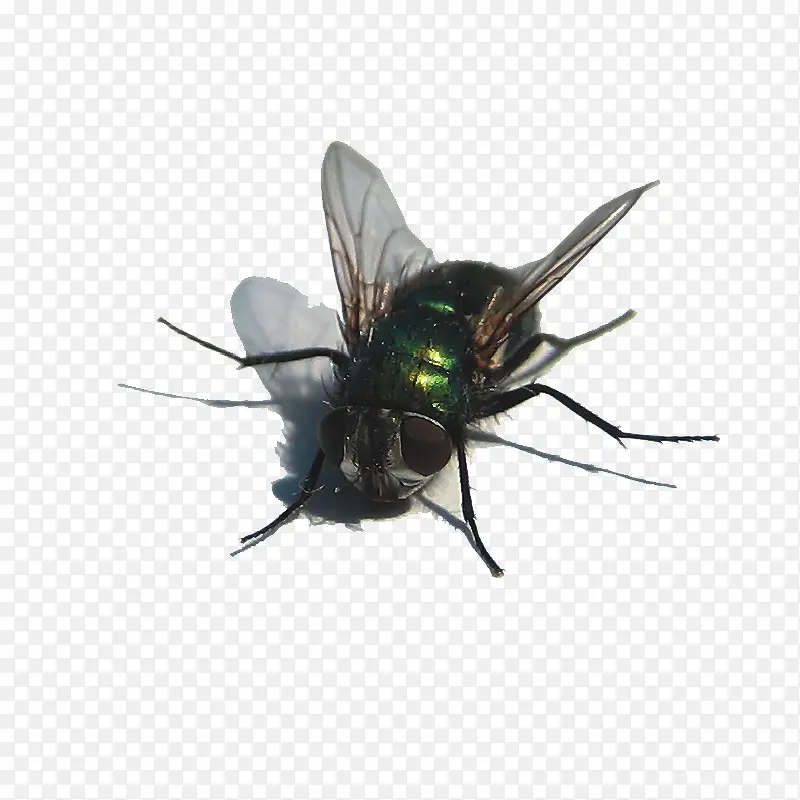 װ��ͼ�� ����-������