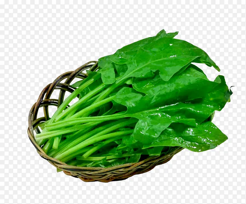 ��������߲�-������