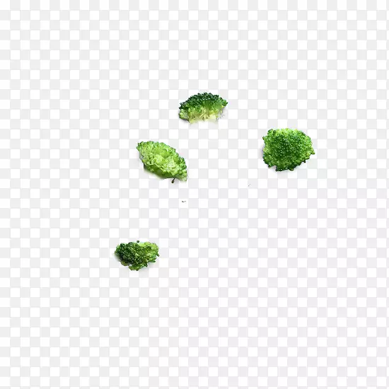 �л�����-��Ҭ��-������