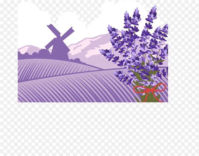 ��ɫ޹�²�-������