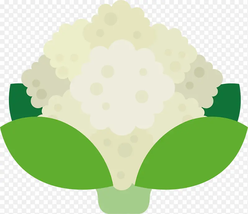 �ֻ��߲�-������