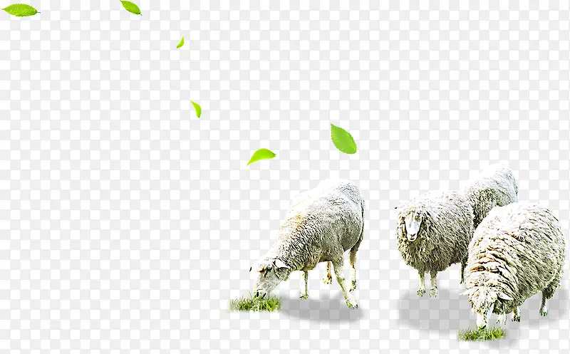 �Բݵ���-������