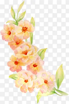 �ֻ滨�ܻ�ɴ��Ӱ����-������