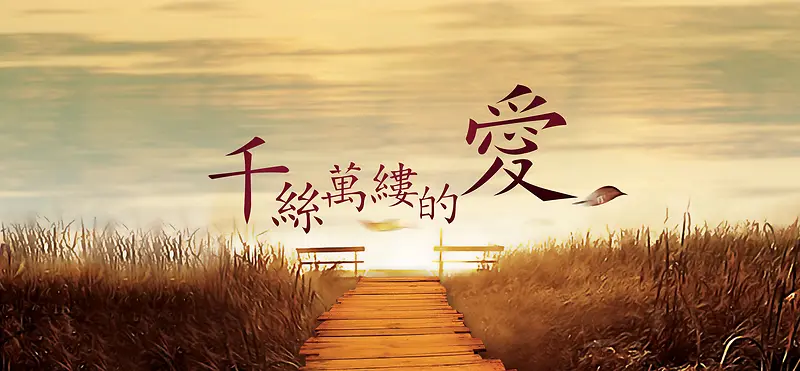 ���������ɴ����-������