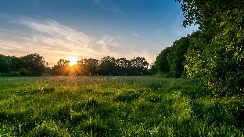 �����ճ�����΢��-������