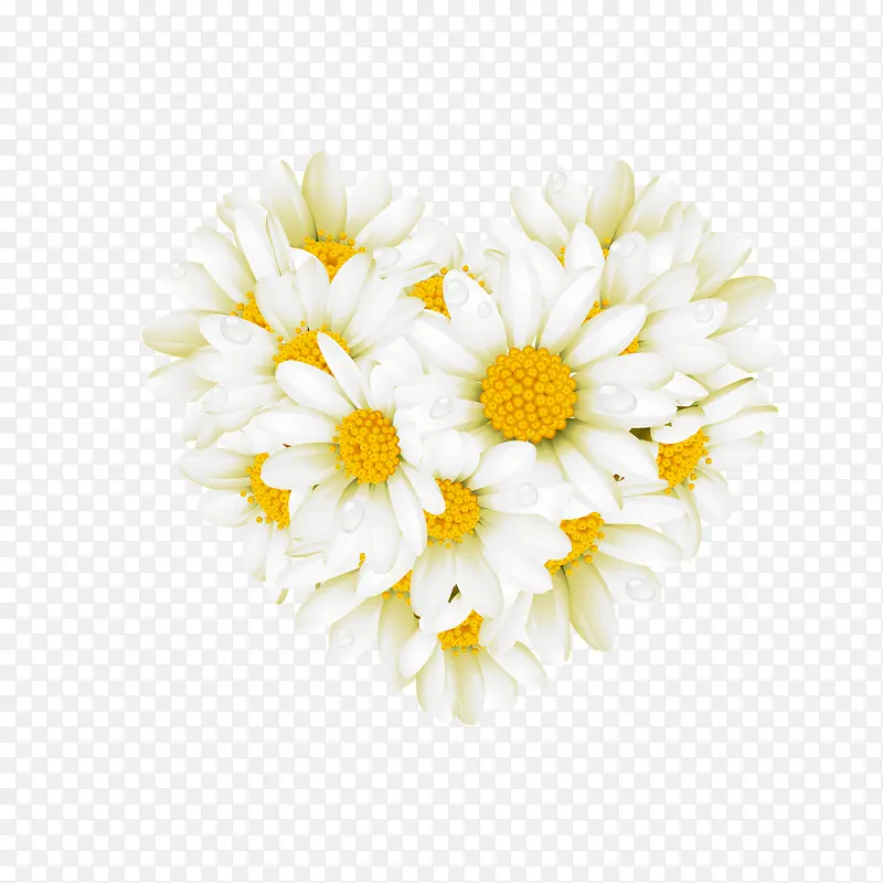 ��ɫ�ջ�-������