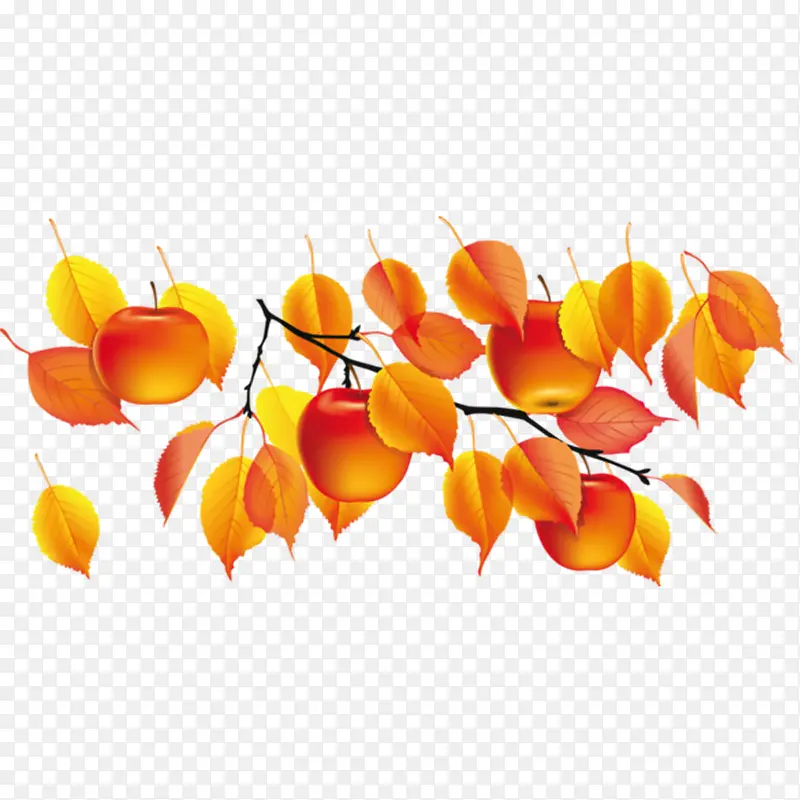 ��Ҷ����-������