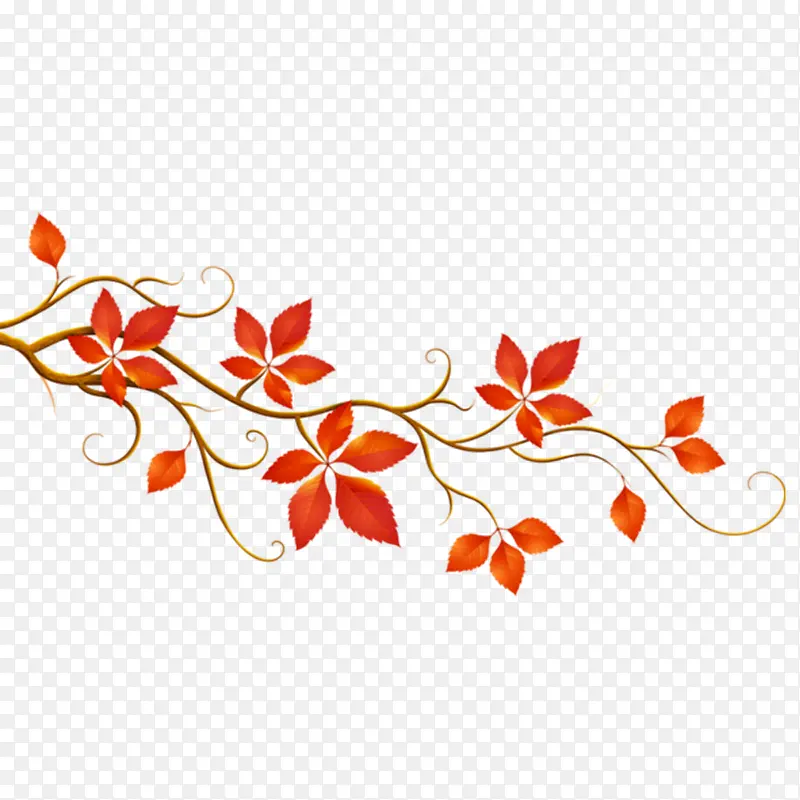 ��Ҷ����-������