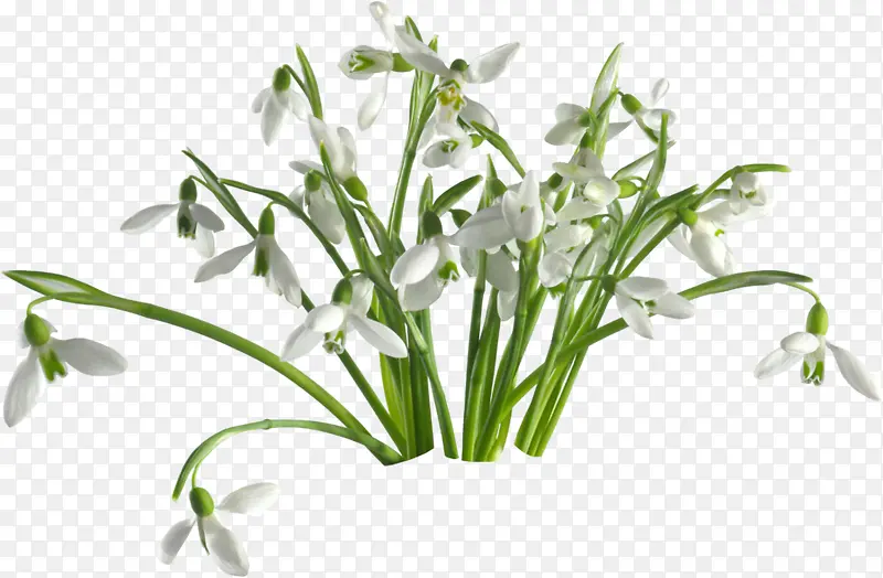 �ֻ�����-������