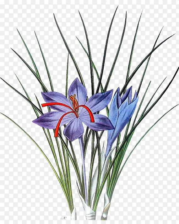 �ֻ�����-������