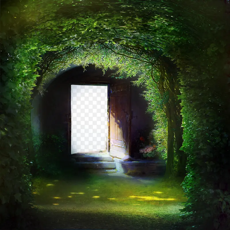 �����̲�-������