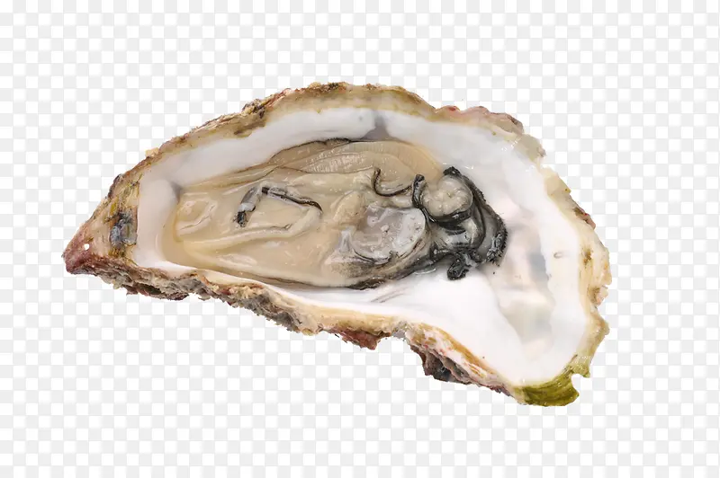 ��򺺣��-������