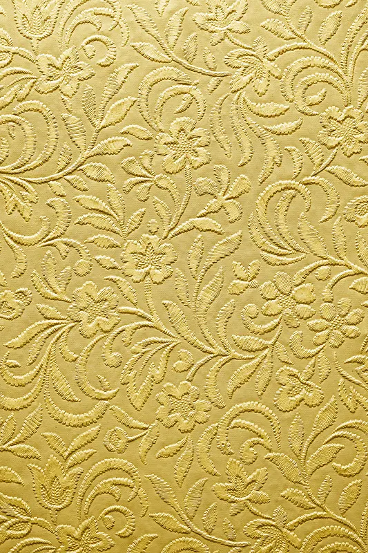 ���ű���-������