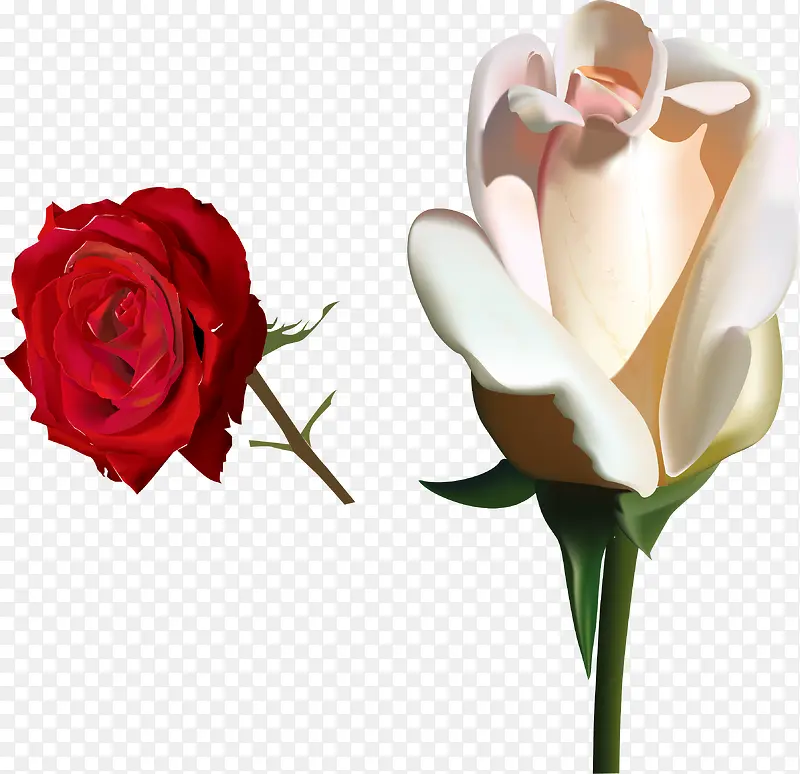 õ�廨pngʸ���ز�-������