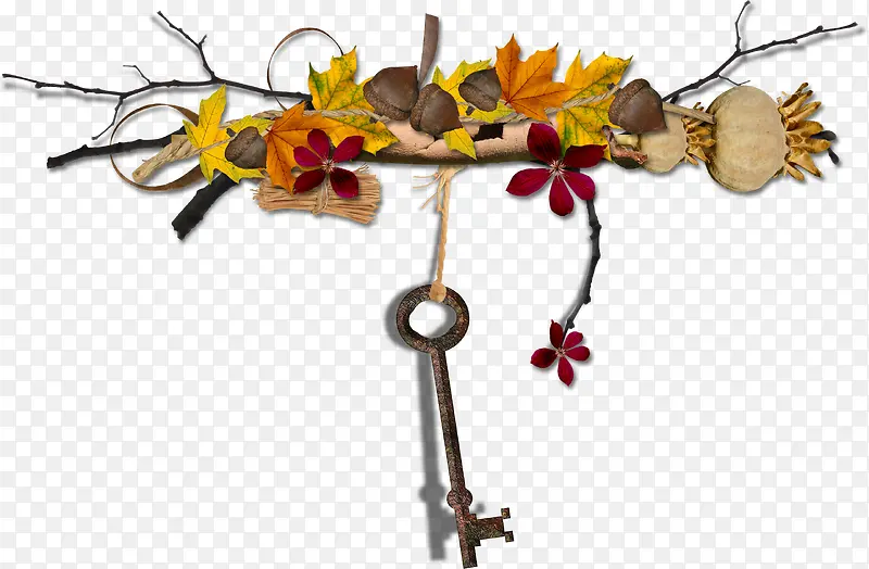 �������Ҷ-������