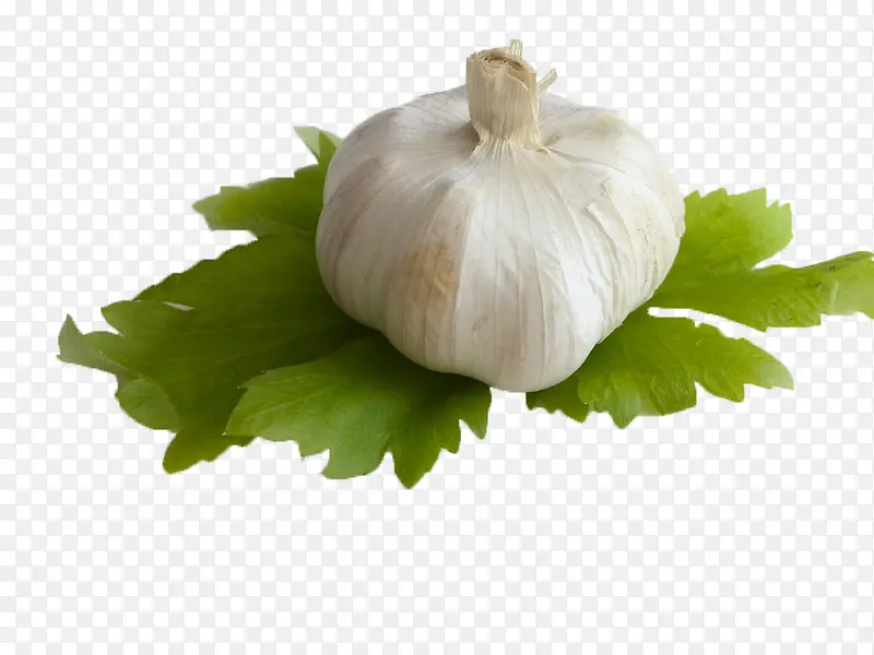 ����-������