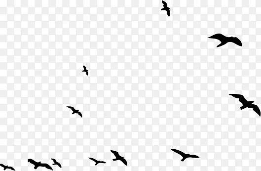 ������Ӱ�ֻ��ɫ����-������