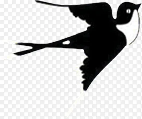 ������Ӱ�����ɫ����-������