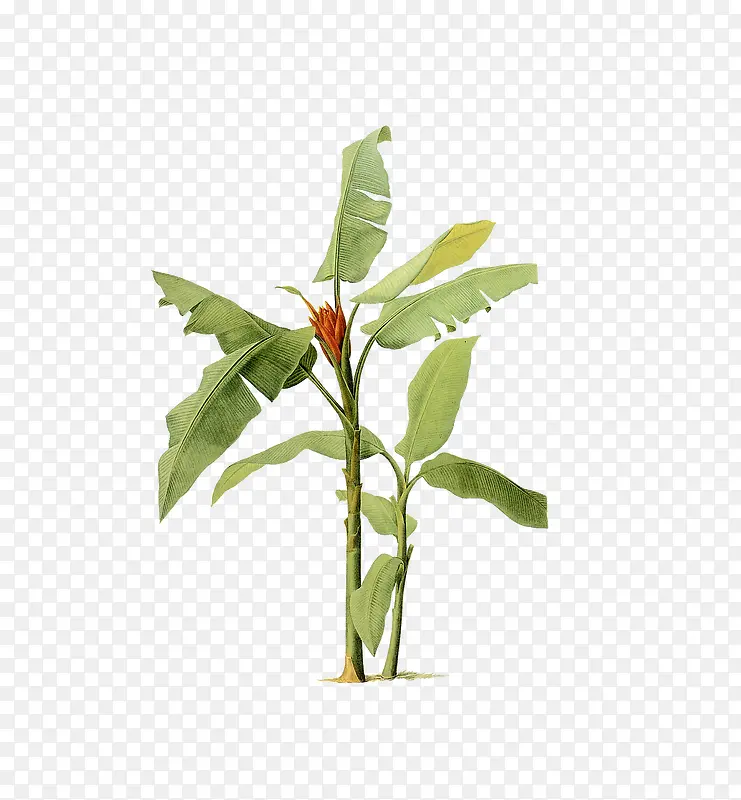 �Ž���-������