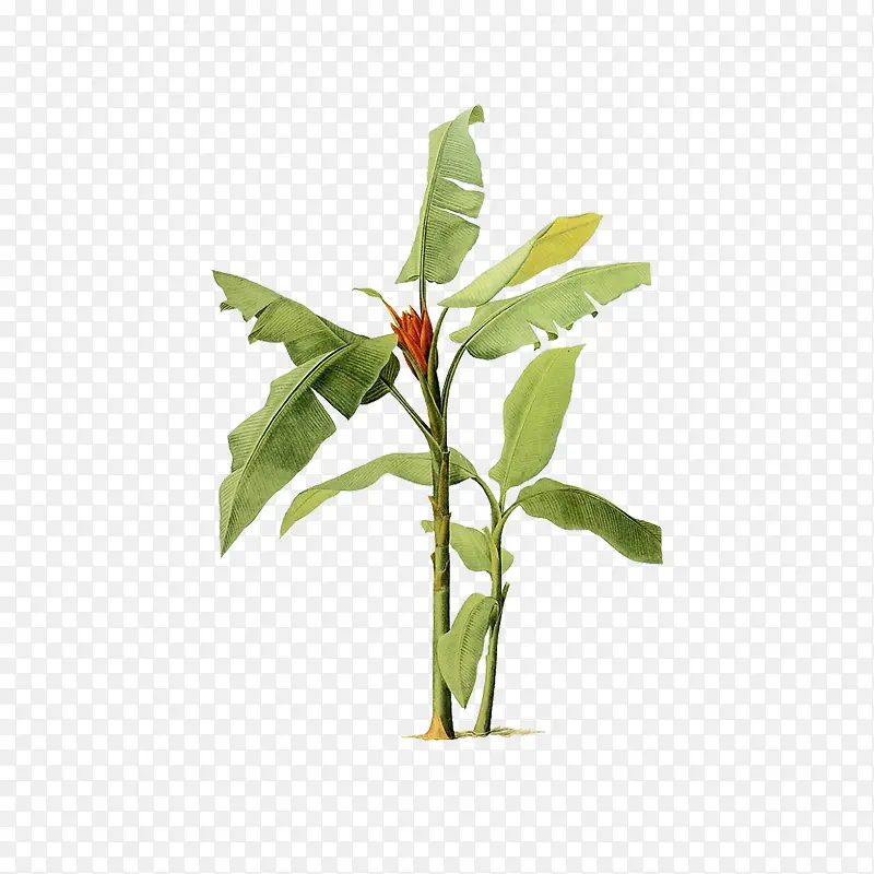 �Ž���-������