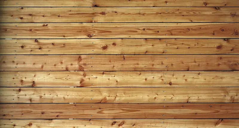 ɼľ�ذ�-������