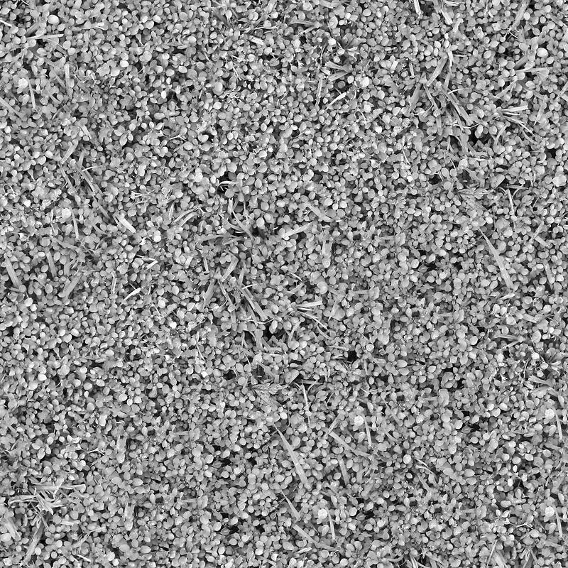 ��ɫ�Ӳݱ���-������