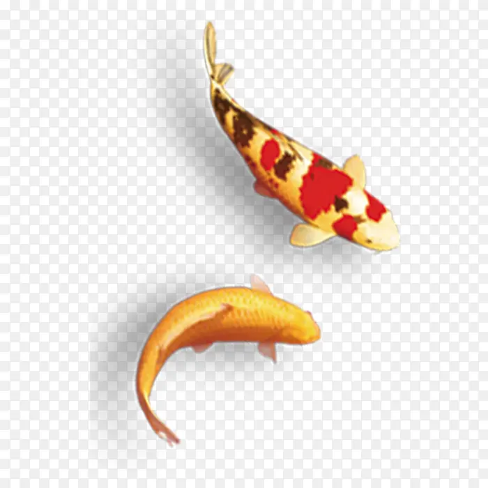 ����-������