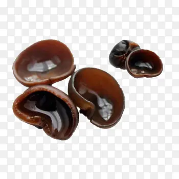 ����С���-������