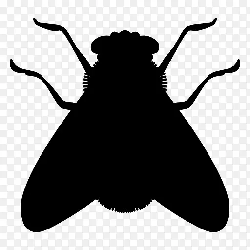 ��Ӭ��Ӱ-������