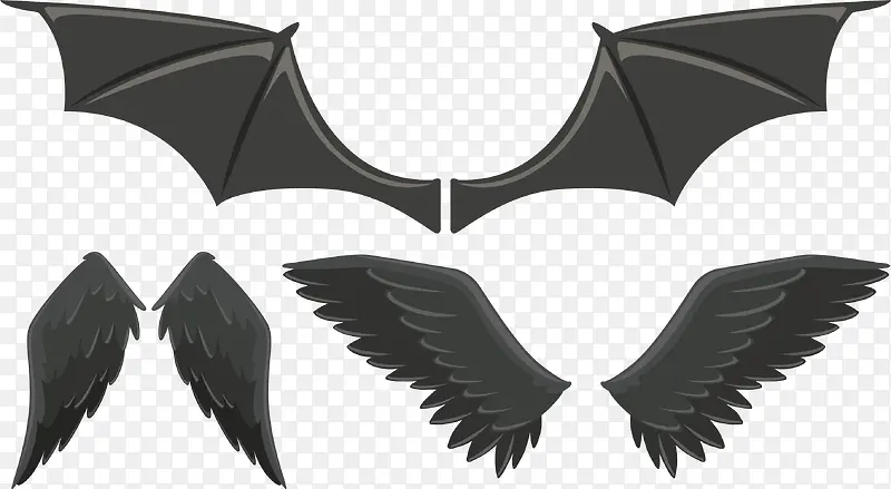 ���Ի�ɫ���-������