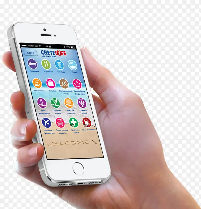 ����ƻ���ֻ�-������